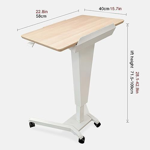 レクチャーホール 会議