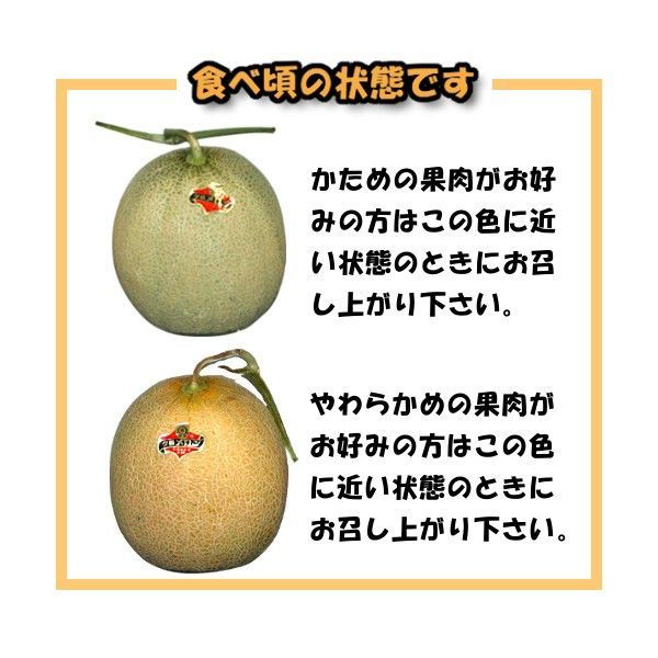 前後 個選品