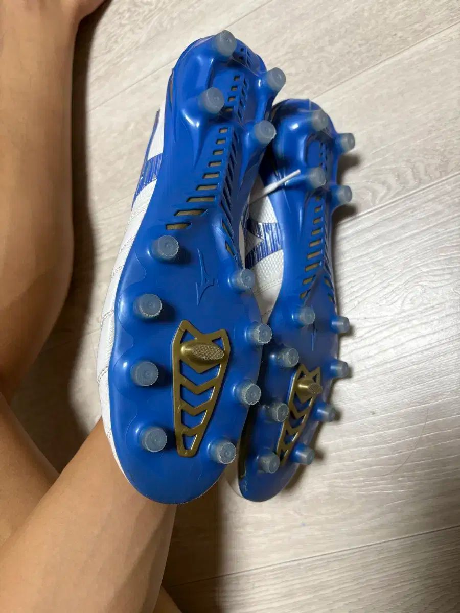 ネオ