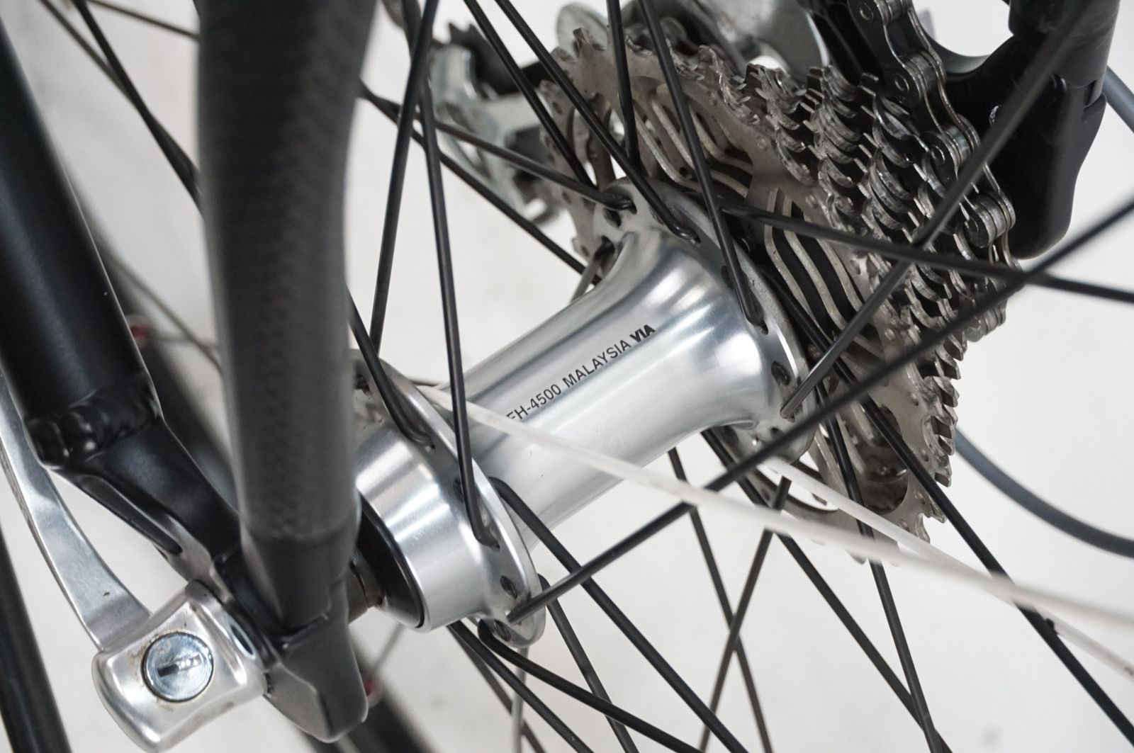 CAMALEONTE4 2011年モデル