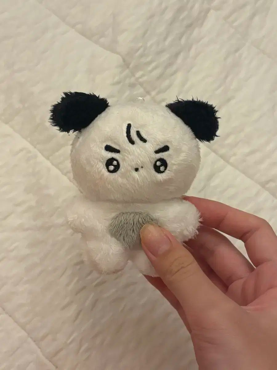 THE BOYZ(ザ・ボーイズ・ドボイズ) ヨンフン(YOUNGHOON) 金森町 人形