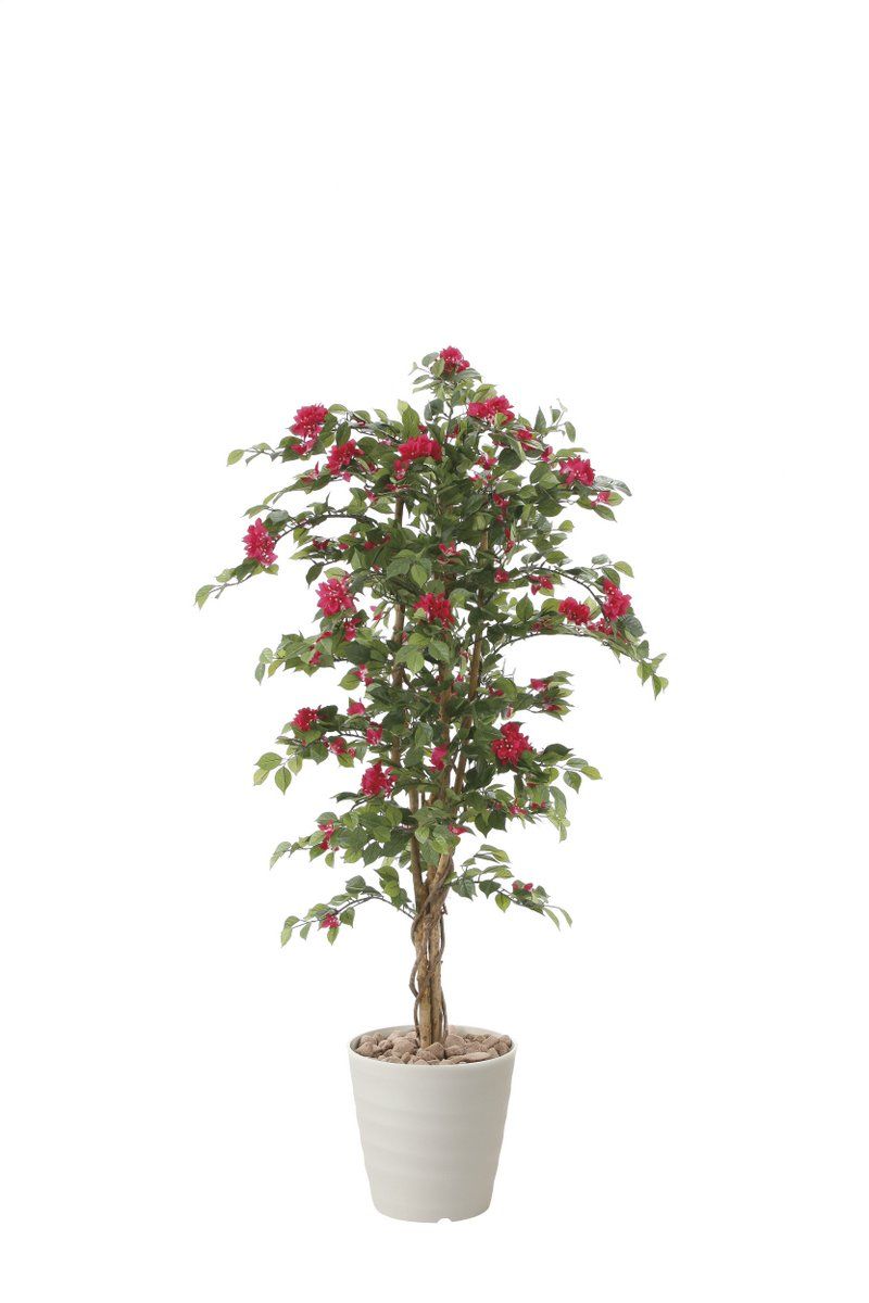光触媒観葉植物 ブーゲンビリア1.5〔フロアタイプ(ハイサイズ)〕/光触媒 観葉植物 ウンベラータ フェイクグリーン 花 胡蝶蘭 開店祝い 開業祝い 誕生祝い 造花 アートフレーム おしゃれ 飾る
