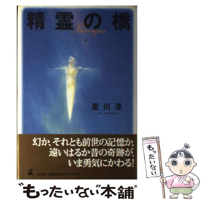 【絶版・希少】精霊の橋　星川淳　1995年　初版 絶版・希少】精霊の橋 星川淳 1995年 初版 絶版・希少】精霊の橋 星川