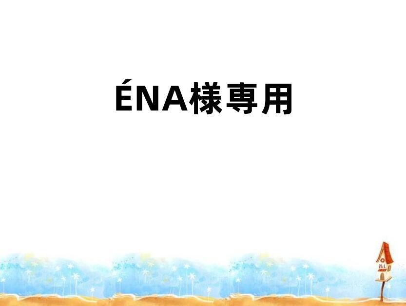 Na様専用 NA様専用 na-k 専用ページ  様専用ページ - メルカリ