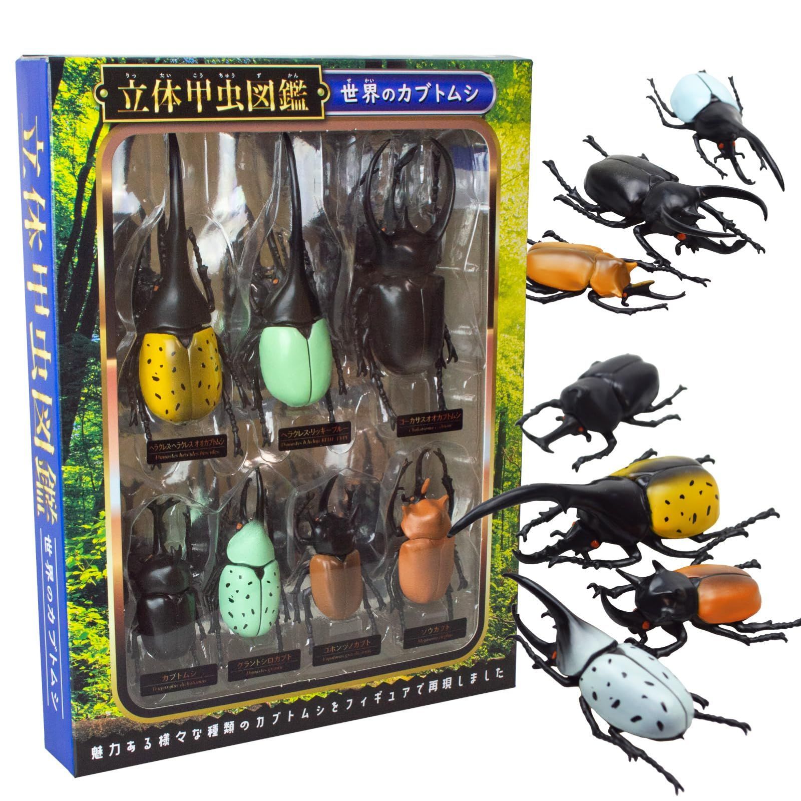 新着商品】＆ 世界のカブトムシ 世界のクワガタ 立体甲虫図鑑 2