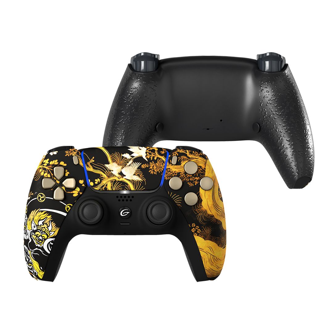 PS5 カスタムコントローラー RAIJINモデル ノーマル勢仕様