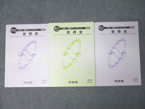河合塾 高3 高校グリーンコース 世界史 テキスト通年セット 2024