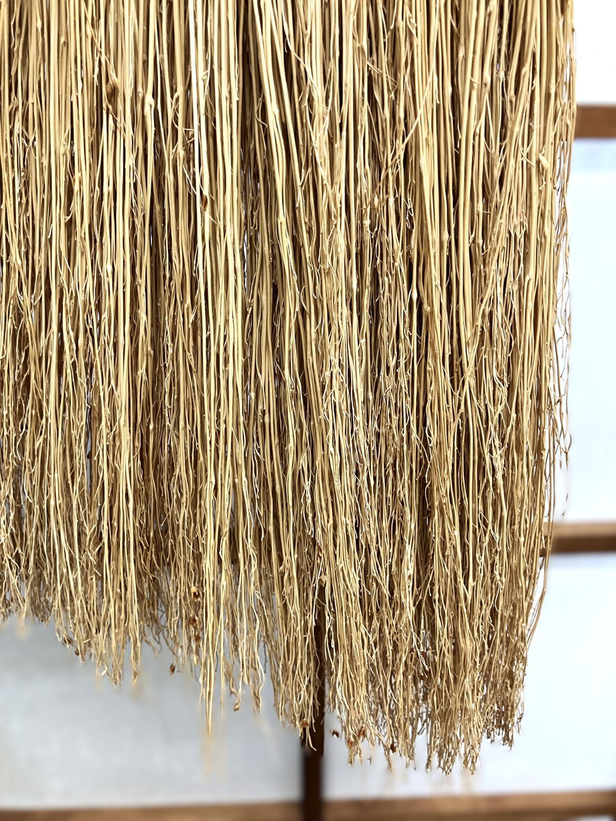 わぼうき サイズ95㎝