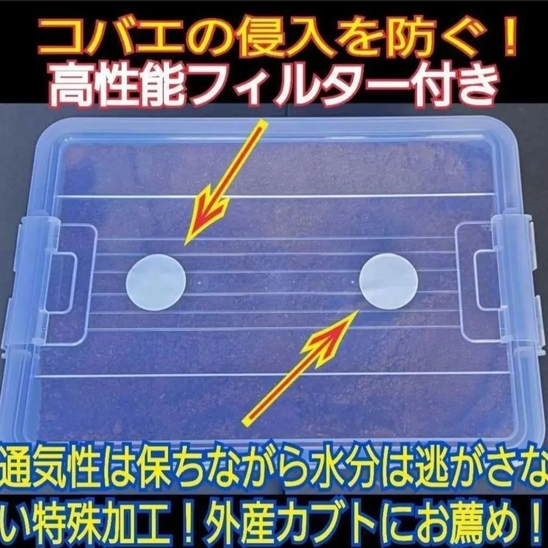 ケース入りマット☆10リットル☆カブトムシ幼虫を入れるだけ ケース入りマット☆10リットル☆カブトムシ幼虫を入れるだけ