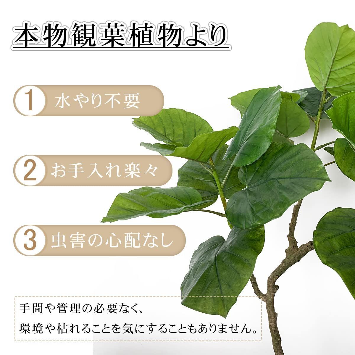 在庫セール】フェイクグリーン ウンベラータ 155cm 観覧植物 人工観葉樹 人工観葉植物 観葉植物 フェイク 造花 シンプル オフィス RAKU  室内 インテリア 大型 鉢 おしゃれ 人工 お祝い 父の日 室内 メルカリ