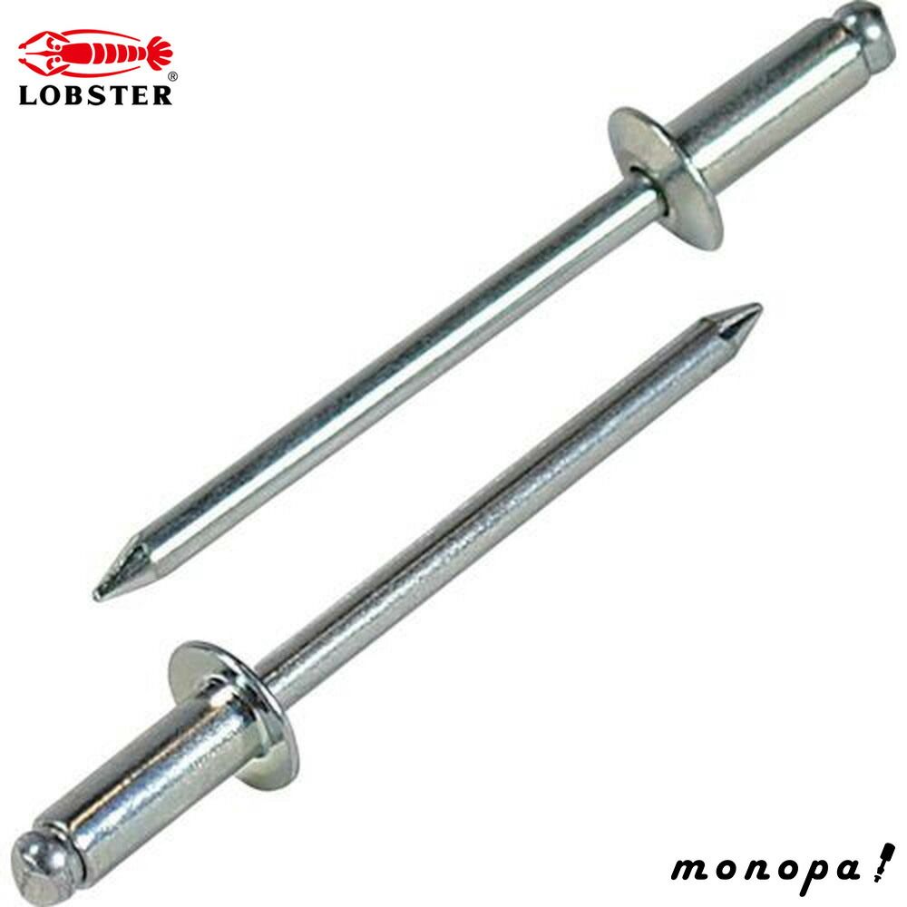 ロブテックス エビ ブラインドリベット 1000本入 スティール|スティール 6-3 NS63