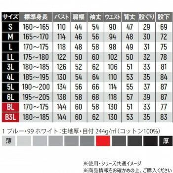 ブルー M