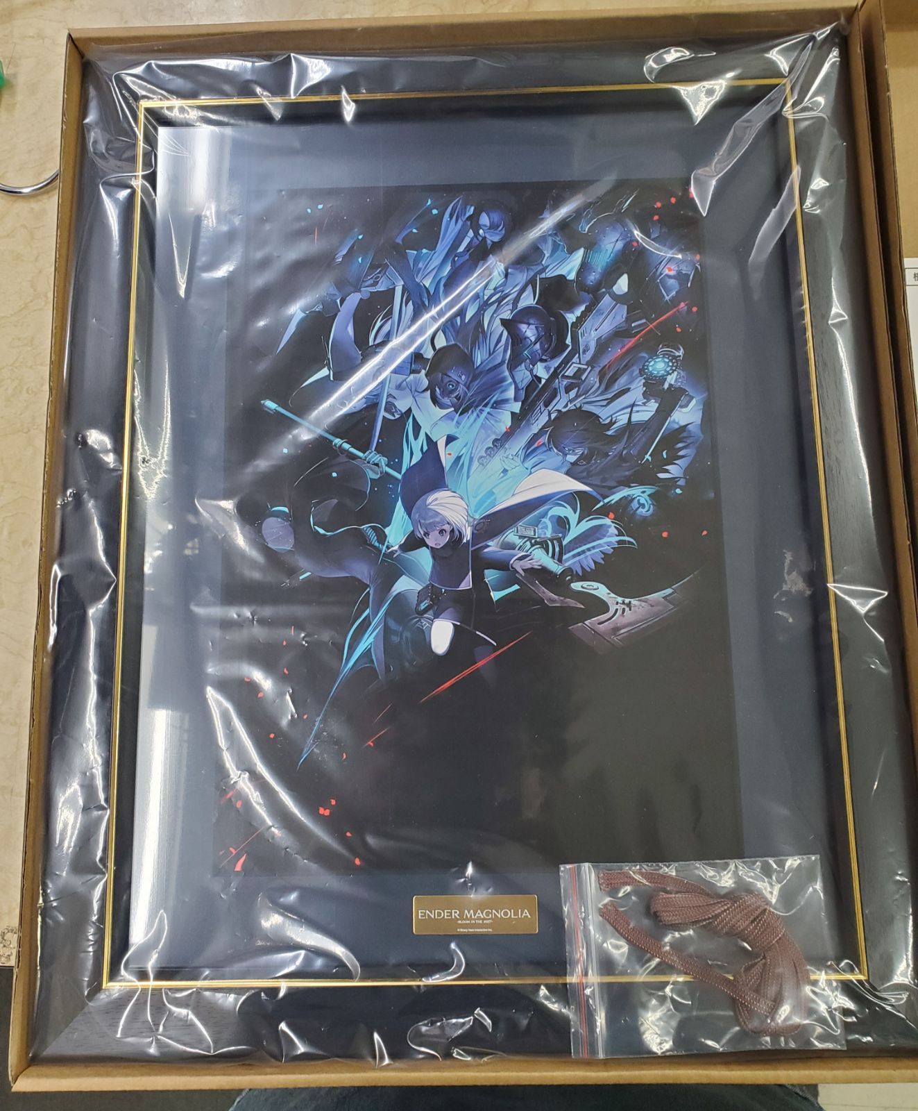 ENDER MAGNOLIA エンダーマグノリア キャラファイングラフ ソフト ENDER MAGNOLIA エンダーマグノリア A4 キャラファイングラフ