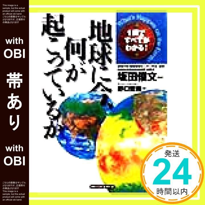 帯あり 地球に今 何が起こっているか 1冊ですべてがわかる Dec 01 1998 野口 哲典_07