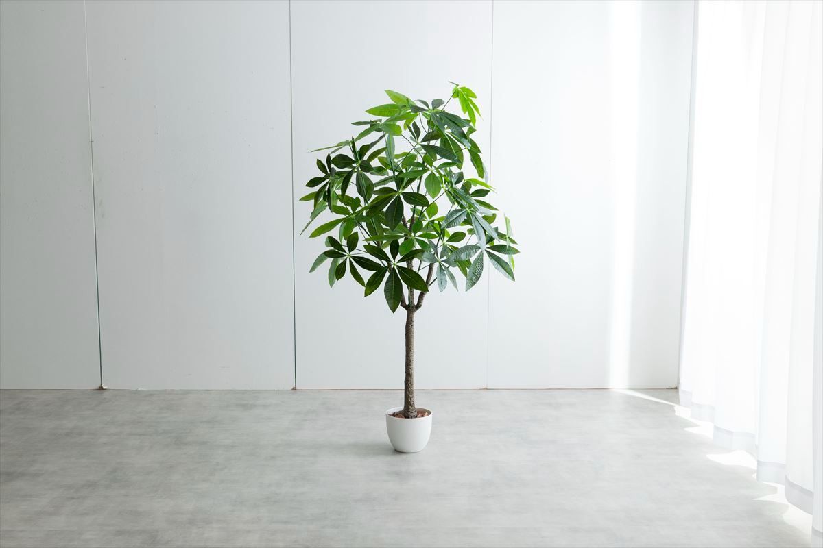 高さ150cm】Nature 光触媒人工観葉植物 パキラ 人気 光触媒人工観葉