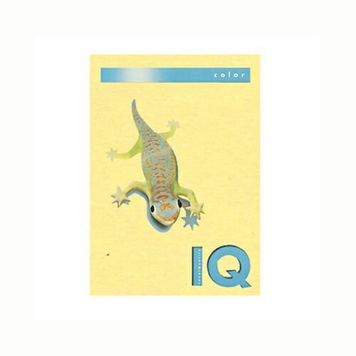 （まとめ） コピー用紙（カラー用紙） 伊東屋 バイオトップカラー イエロー BT703 9003974406725 1冊【×5セット】