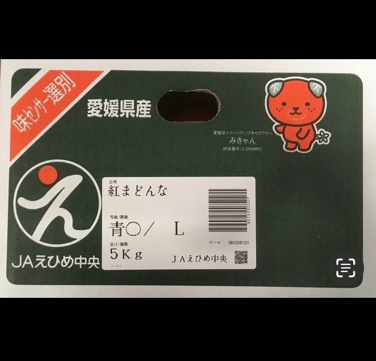 5kg 箱込
