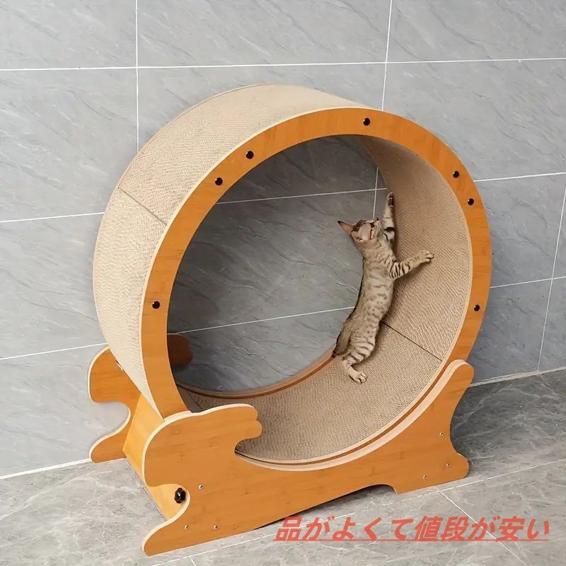 エクササイズ