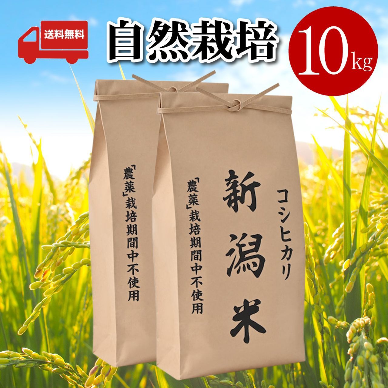 2023年 朝日米2kg玄米 たけ爺ブランド米 栽培期間中無化学肥料・無農薬