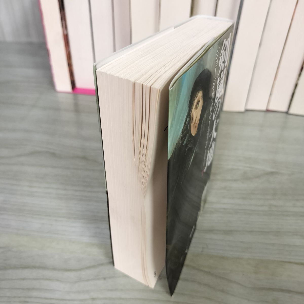 計13冊揃い 全12巻+別巻 氷と炎の歌 七王国の騎士 ヨレ折れ、書込みあり 012397 計13冊揃い 全12巻+別巻 氷と炎の歌 七王国の騎士 ヨレ折れ