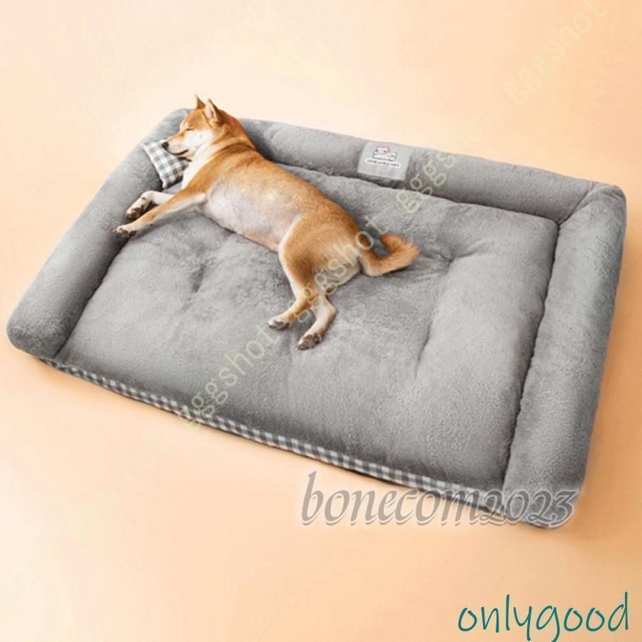 大型犬