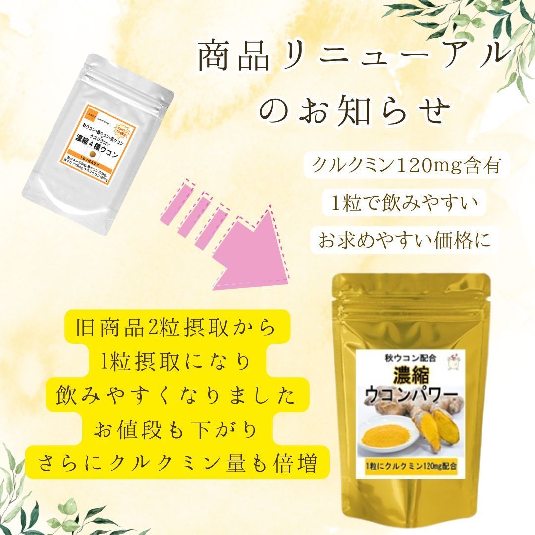 クルクミン120mg含有