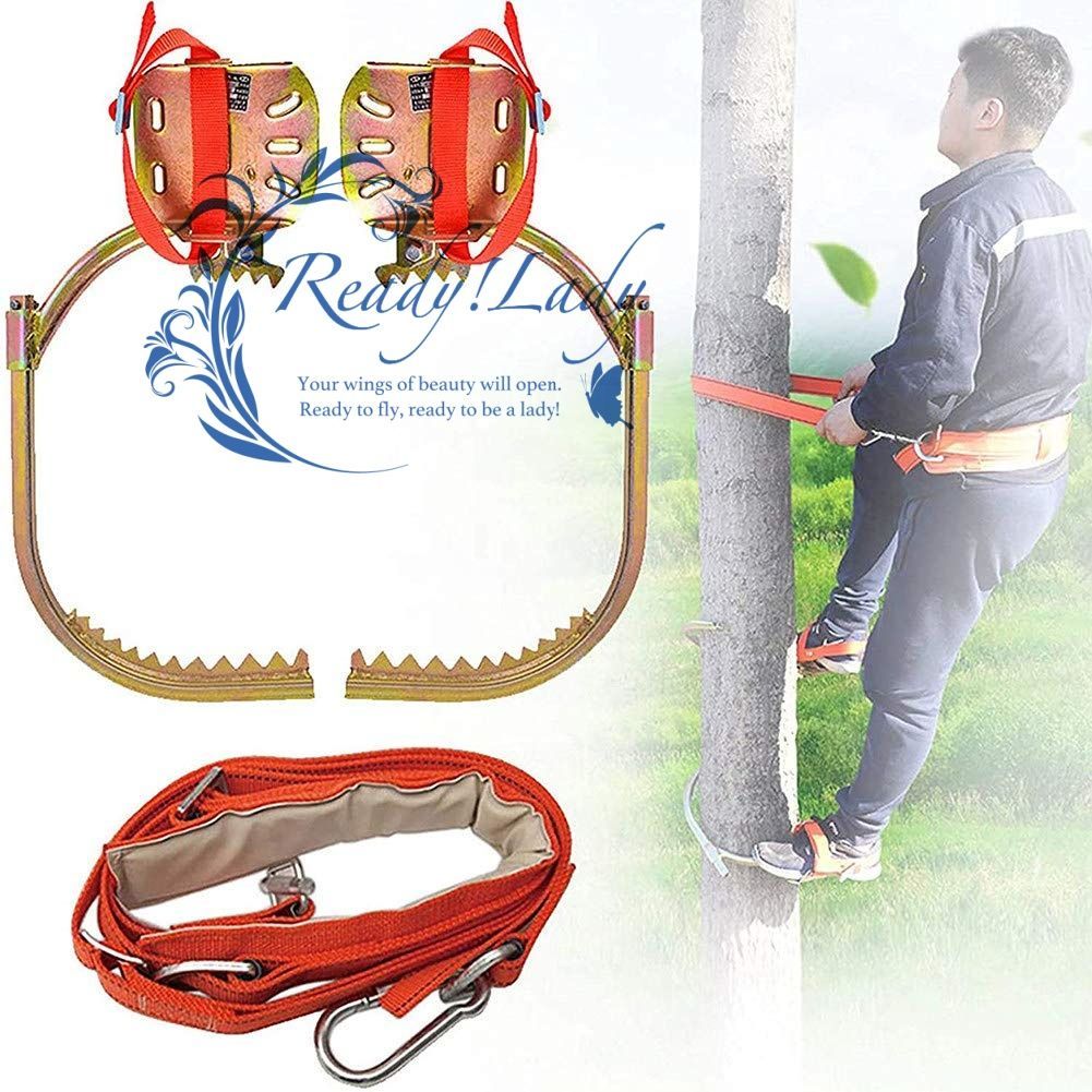 木登り器 木登り道具 木登り靴 ツリークライミングアーティファクトフィートバックル 使いやすい プロフェッショナル滑り止めツリークライミングギアツリーワークの場合 ステンレス鋼アウトドアスポーツ用品 450Model