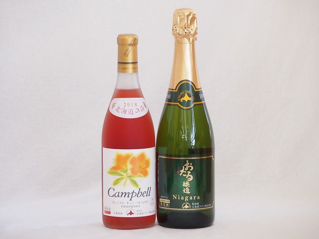 お値下げ　額装品　古地図　1571年　木版画　S.ミュンスター「イタリア全図」 お値下げ 額装品 古地図 1571年 木版画 S.ミュンスター「イタリア全図」