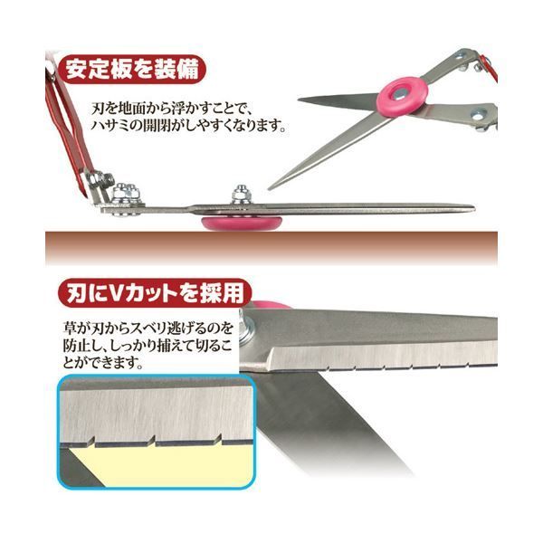 草刈かっちゃん