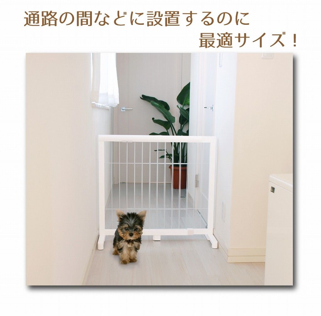 伸縮