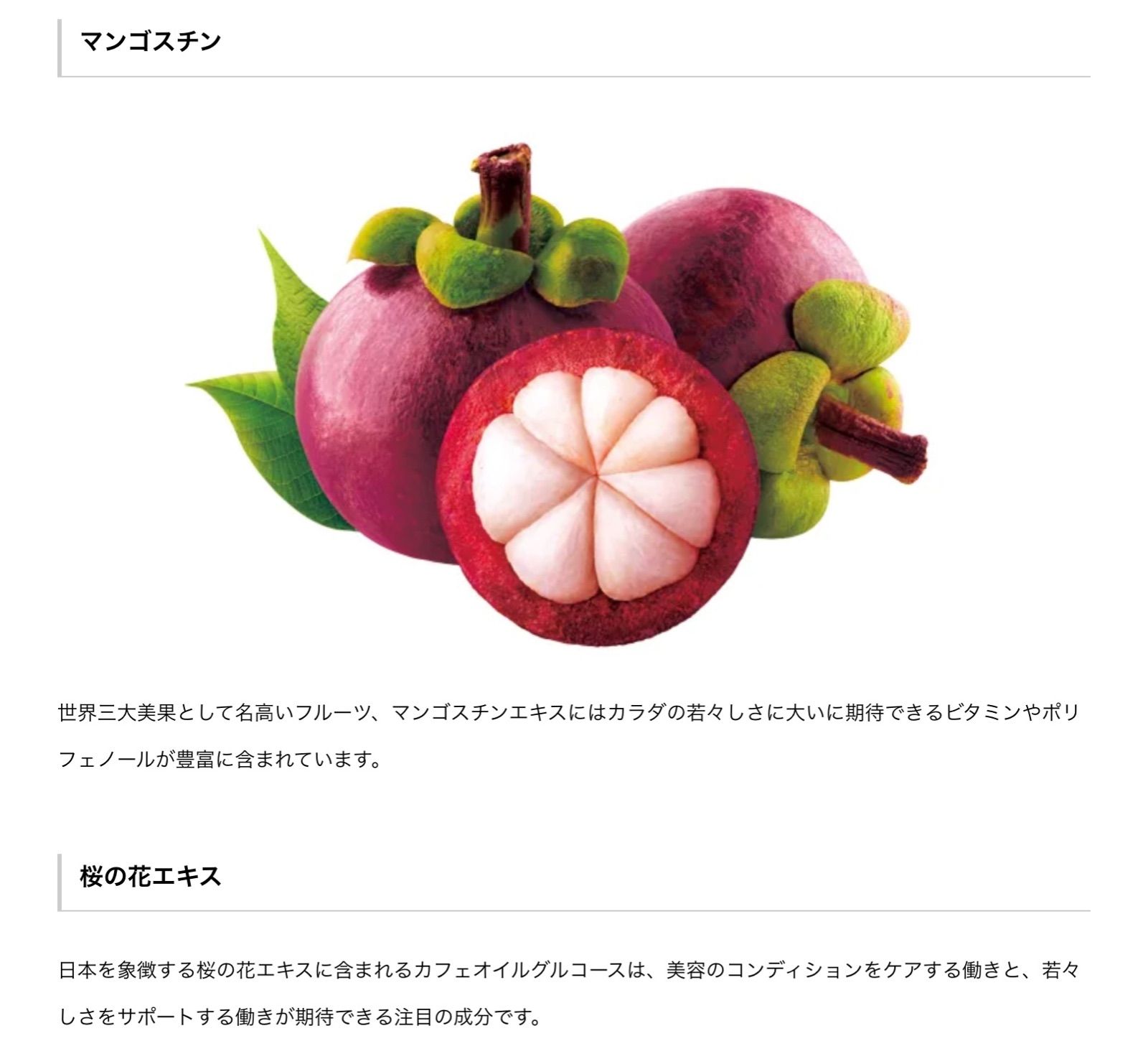 2箱セット エステプロラボ