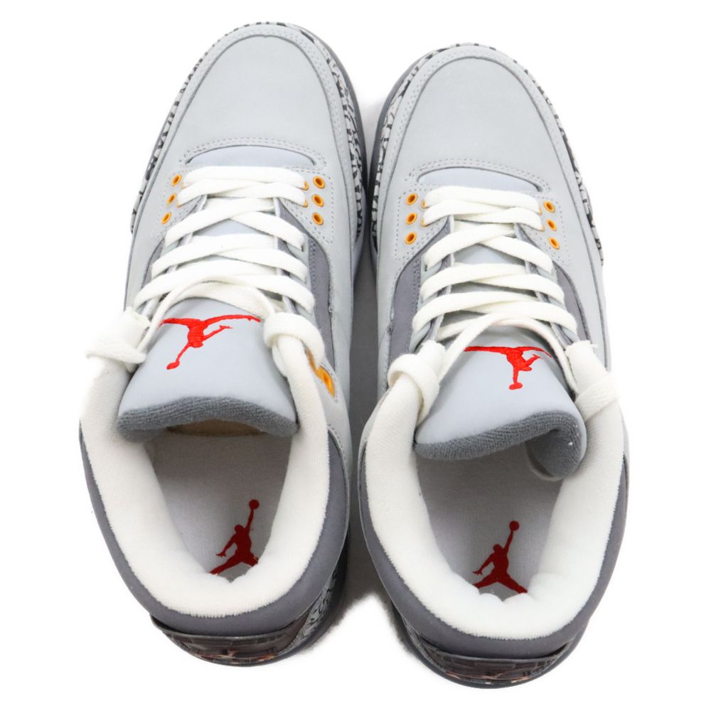 NIKE (ナイキ) 【観賞用】AIR JORDAN 3 RETRO LS Cool Grey エア