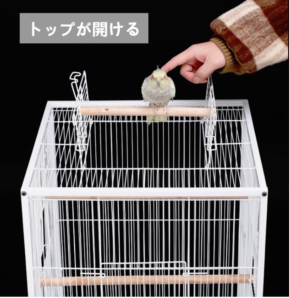 文鳥