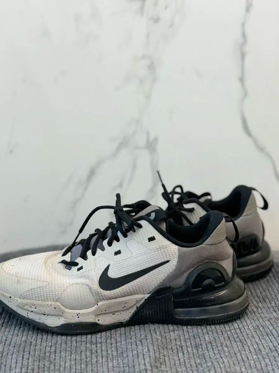 NIKE(ナイキ) エアマックス アルパトレイナー 5 ライトアイロン 鉱石
