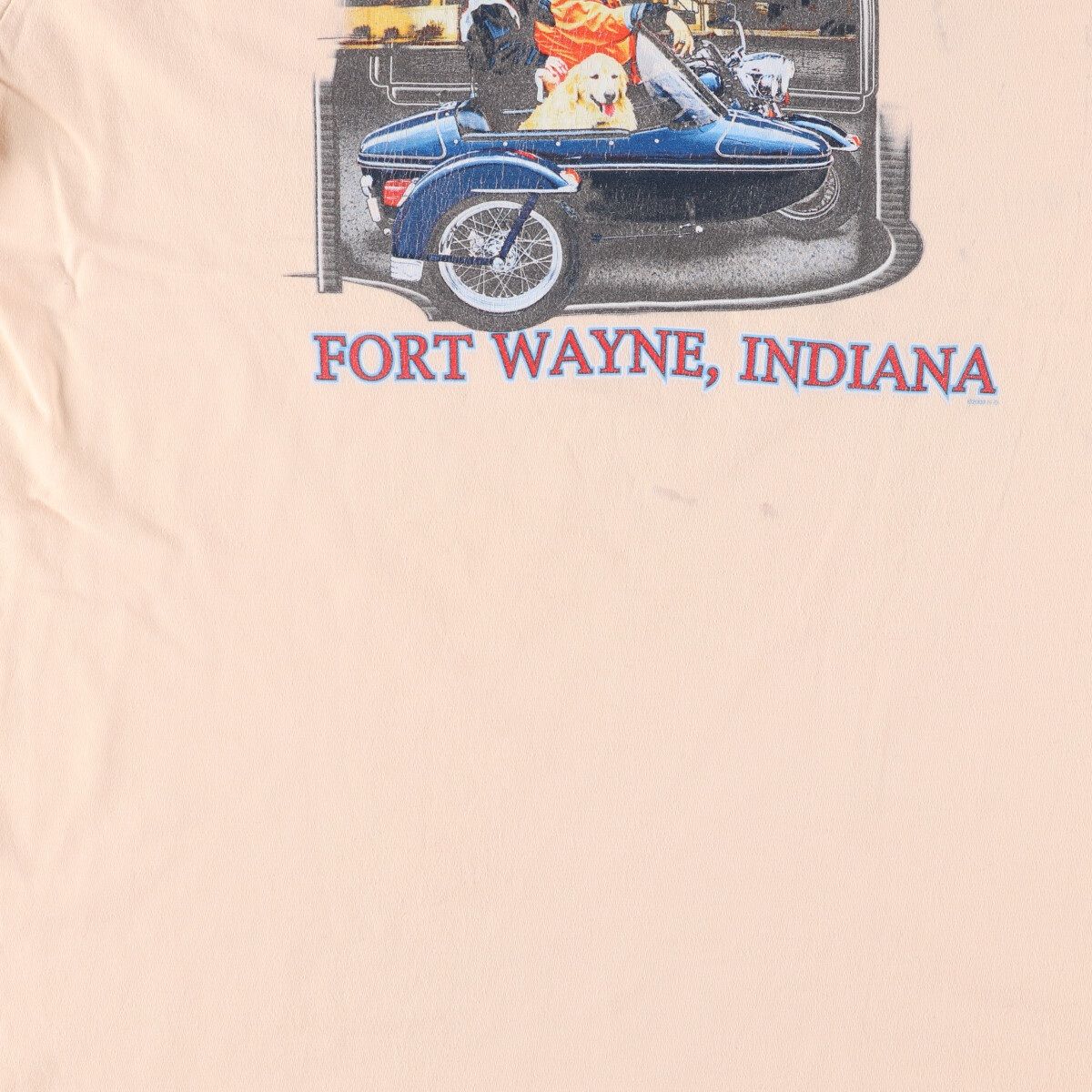古着 00年代 ハーレーダビッドソン ヘインズ ピンナップガール モーターサイクル バイクTシャツ USA製 メンズL相当 /eaa475866 【SS2506_10】 古着 00年代 ハーレーダビッドソン Harley-Davidson ピンナップ