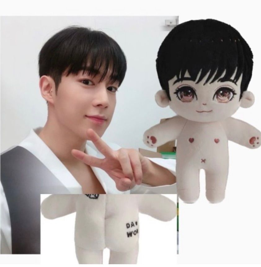 20cm doll ぬいぐるみ ダウォン SF9 DAWON 人形 - メルカリ