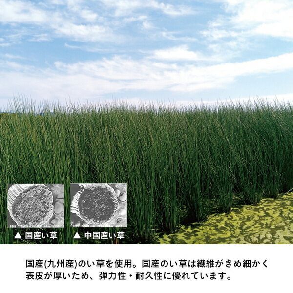 防臭 ダニ増殖抑制
