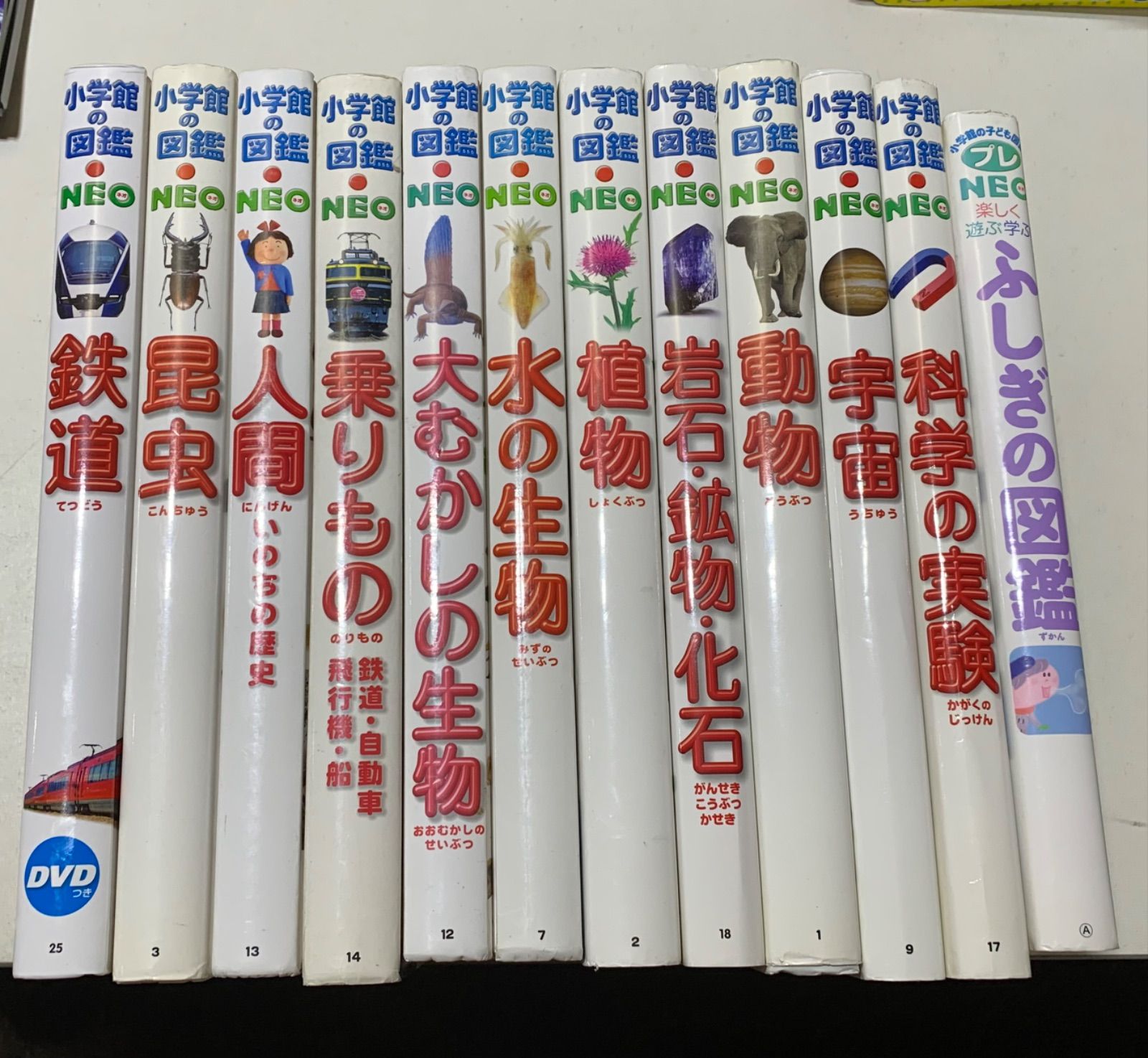 小学館の図鑑NEO ＋プレNEO 12冊まとめ売り