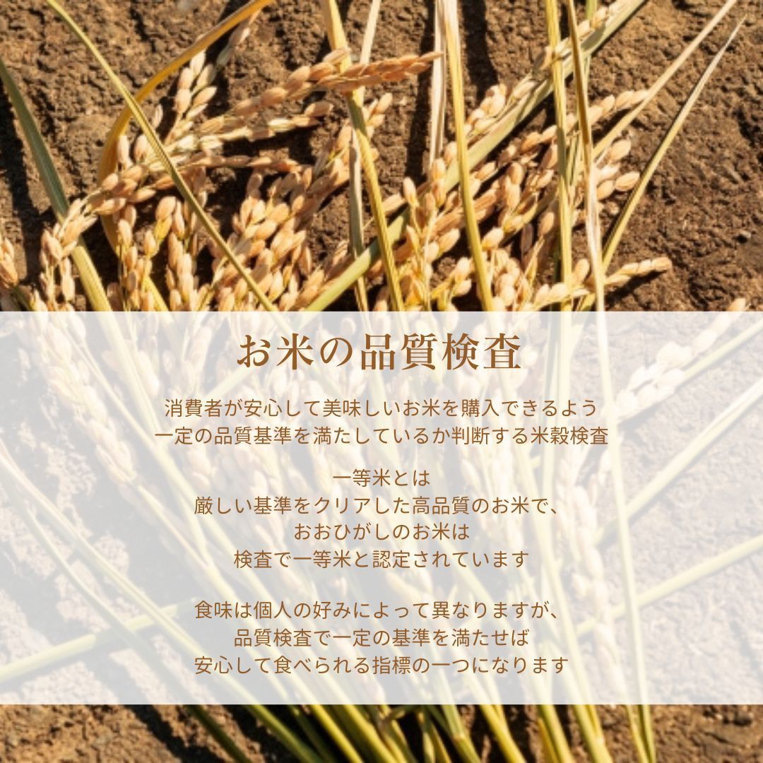 30kg 白米精米