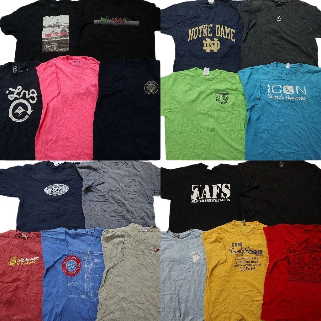 古着卸 まとめ売り カラーmix プリント 半袖Tシャツ 19枚セット (メンズ XL ) フォード カレッジ系 ワンポイント MT9802