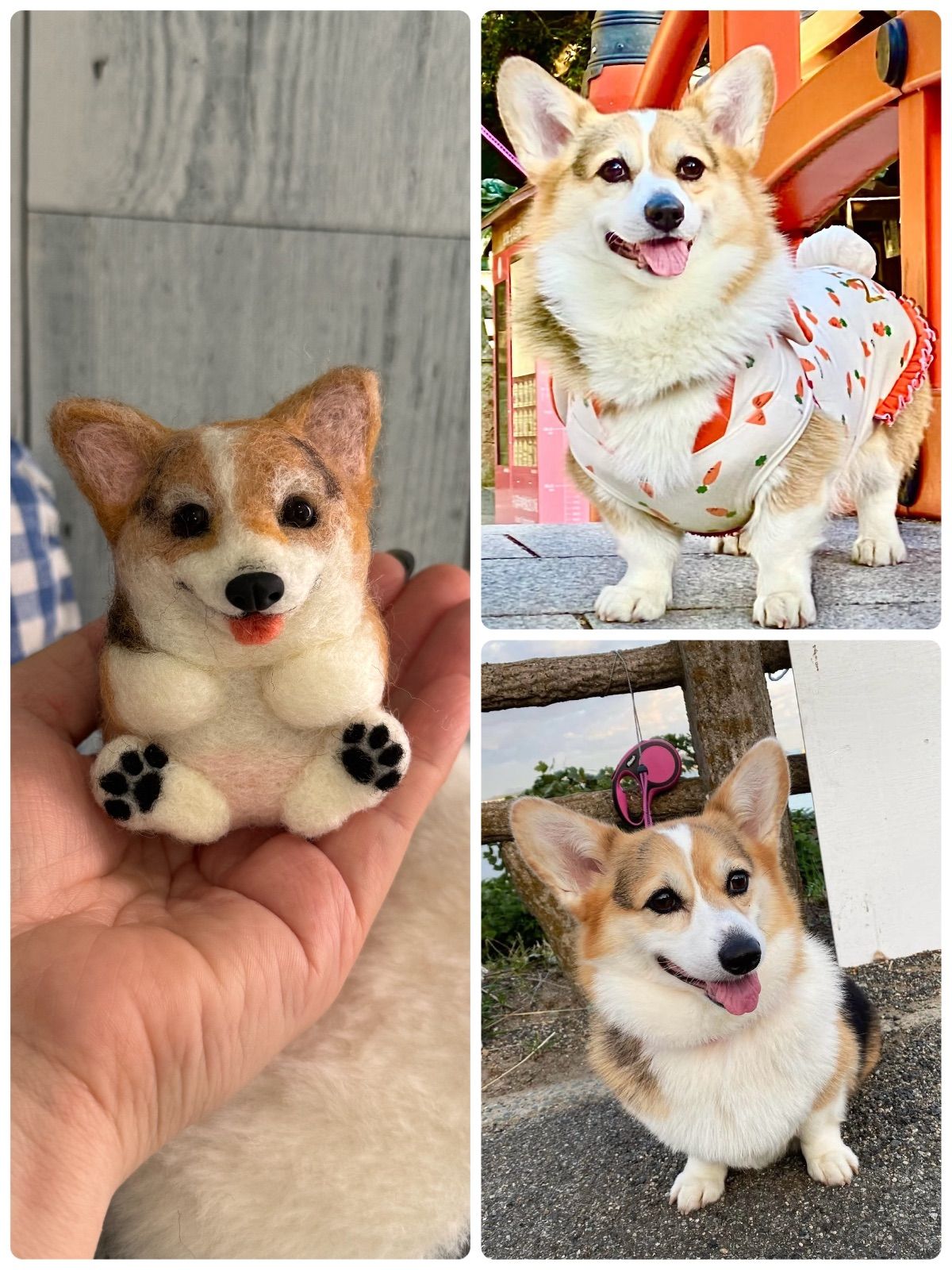 まんまるあにまるず　うちの子オーダー　羊毛フェルト　マスコット　ペット オーダー可》まんまるあにまるず うちの子オーダー 羊毛フェルト