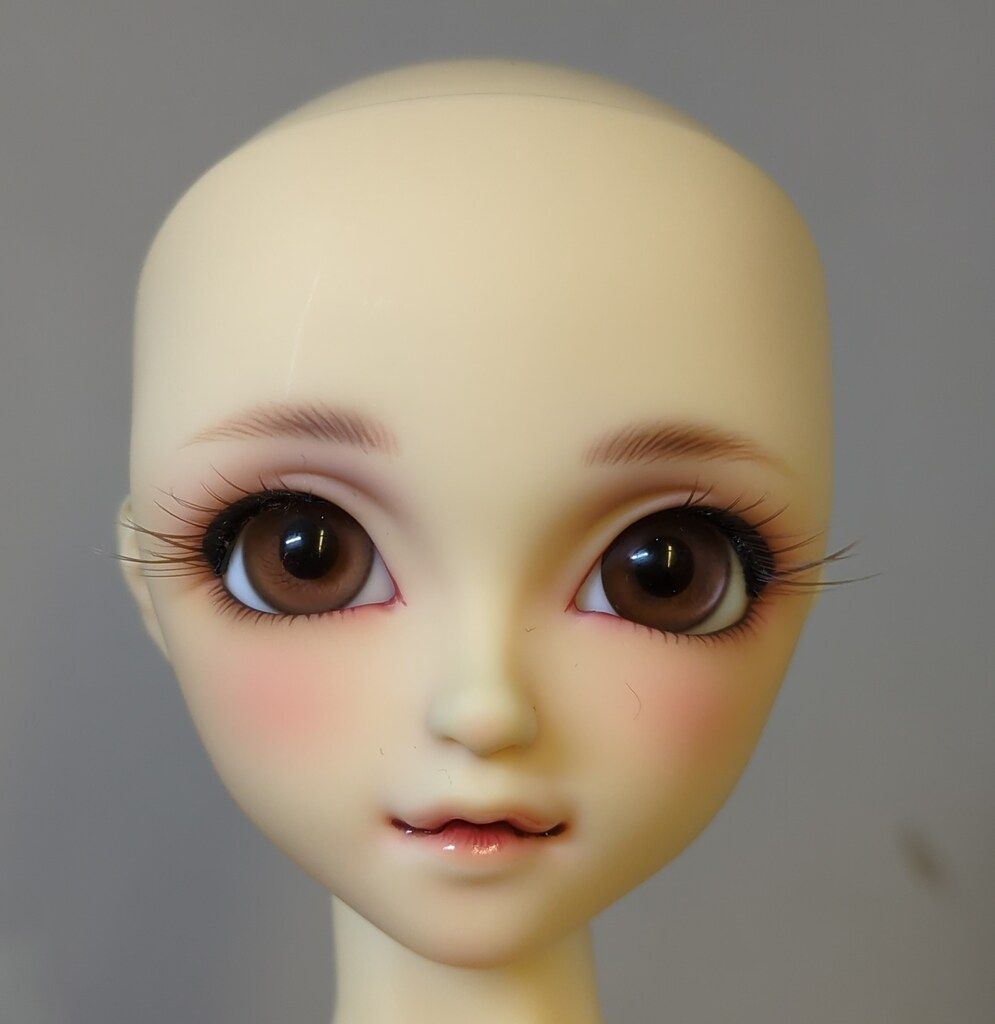 ボークス SDC女の子