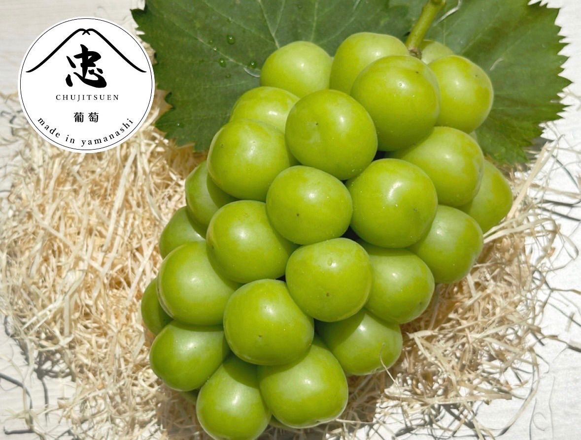 2025先行受付開始 発送見込み6月中旬〜7月中旬頃 温室ハウス シャインマスカット 2房 山梨 産地直送 数量