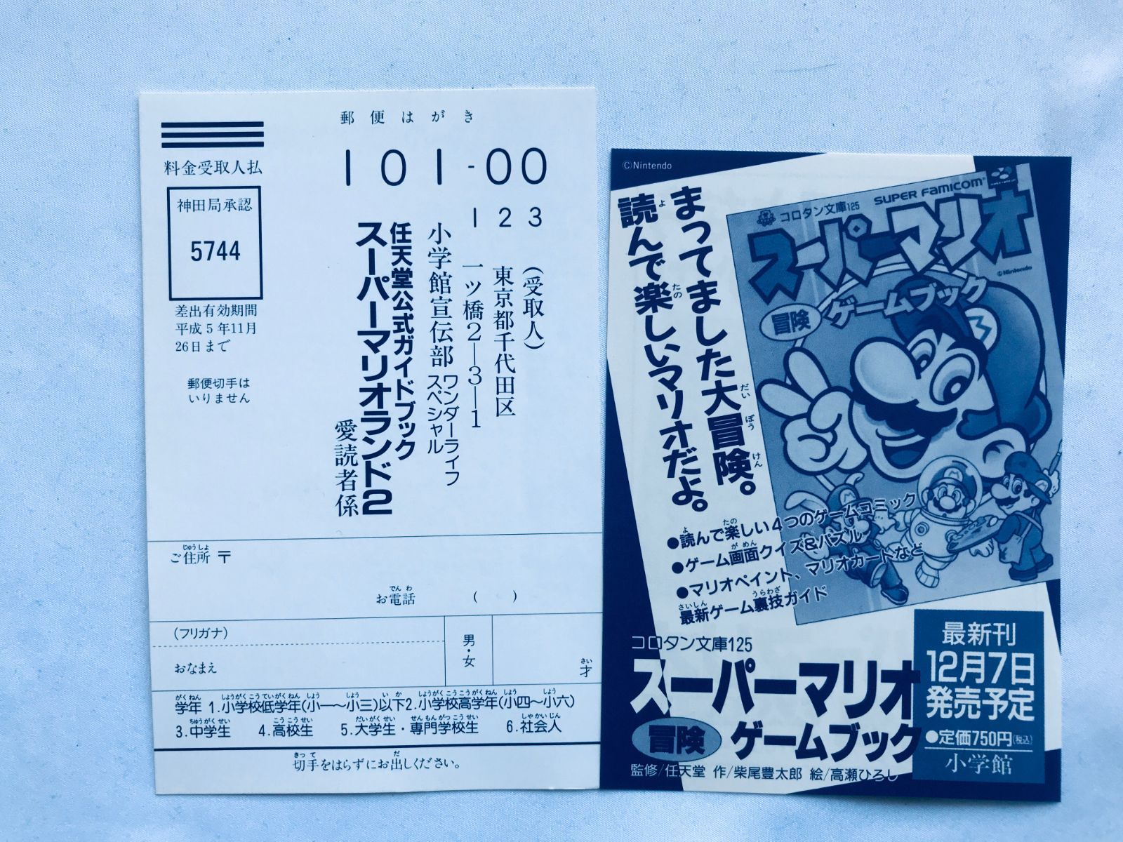 チラシ