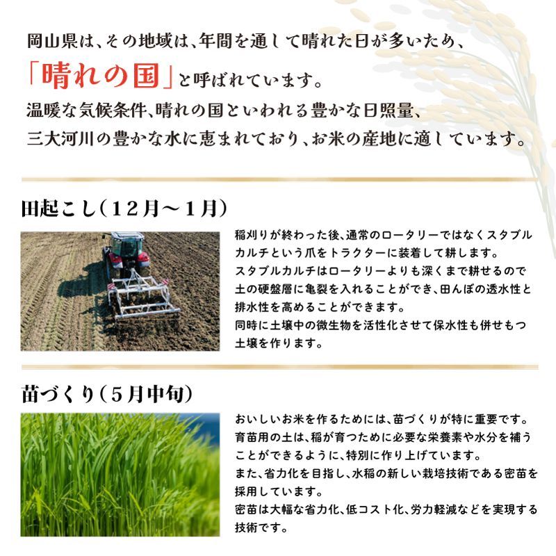 玄米