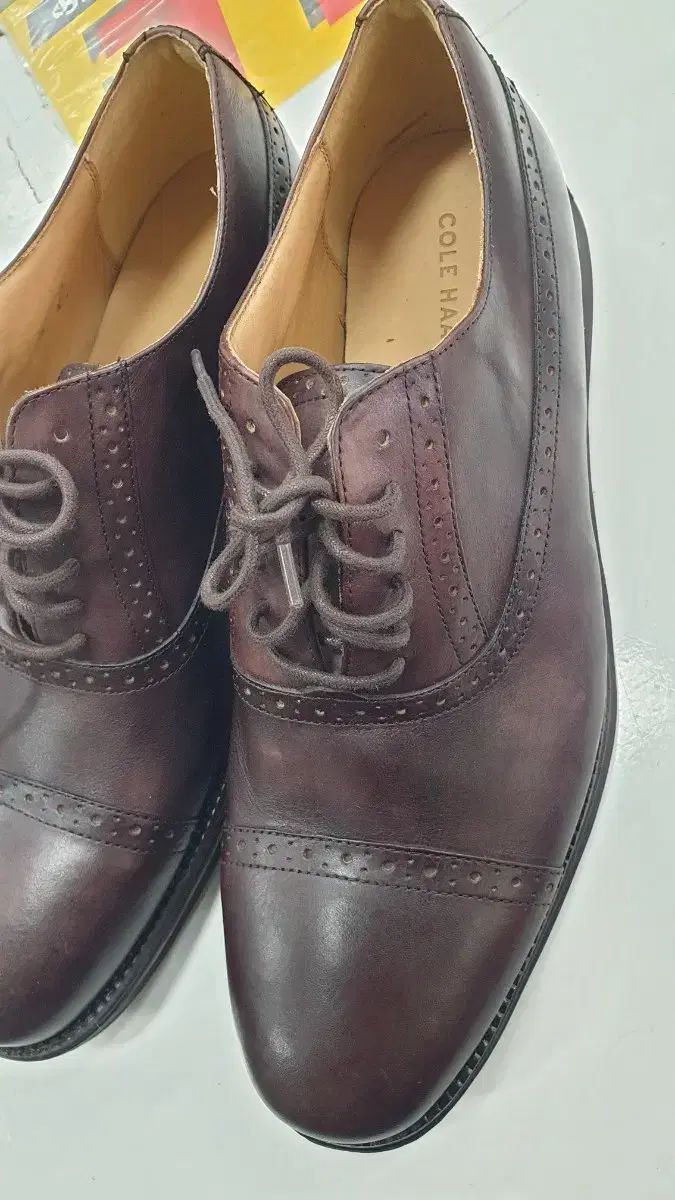COLE HAAN コールハーン 13 サイズ 310