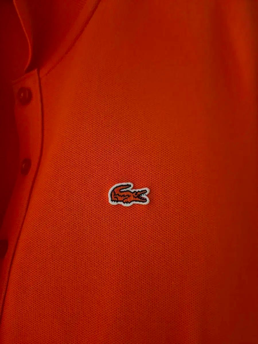 レディース ポロ