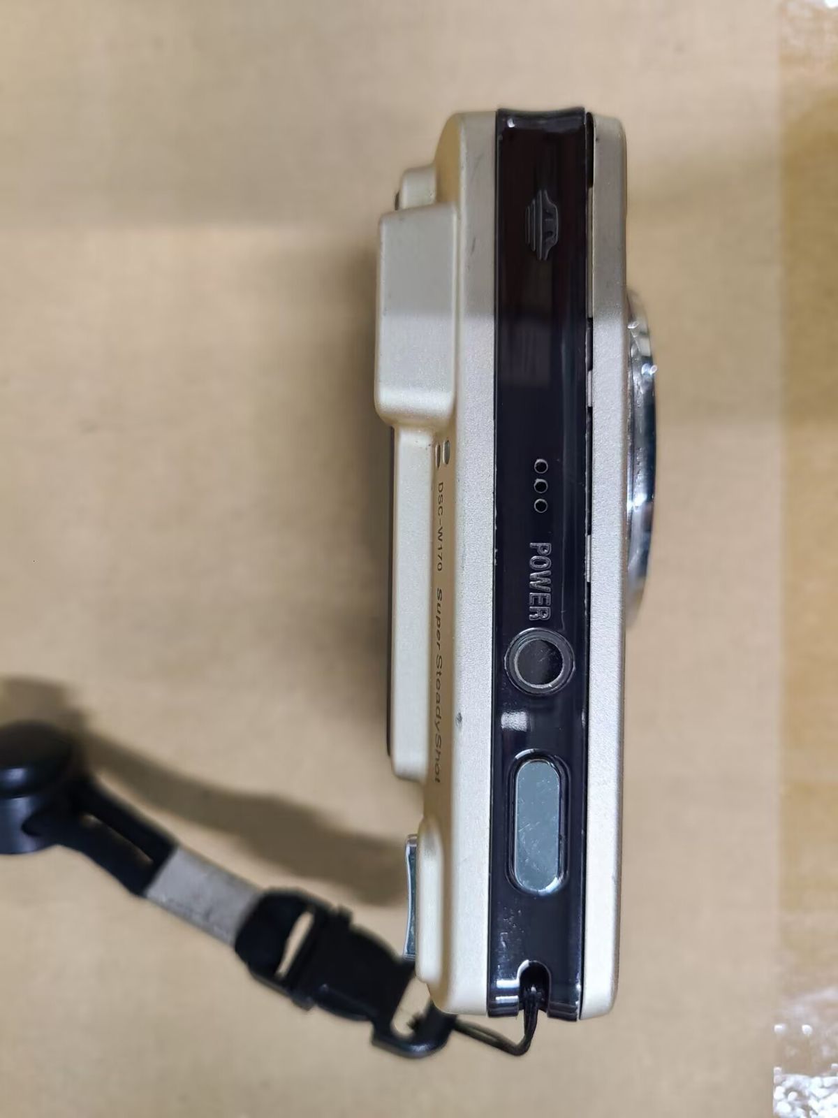 SONY DSC-W170 充電器 BC-CSGE バッテリー NP-BG 【公式通販】