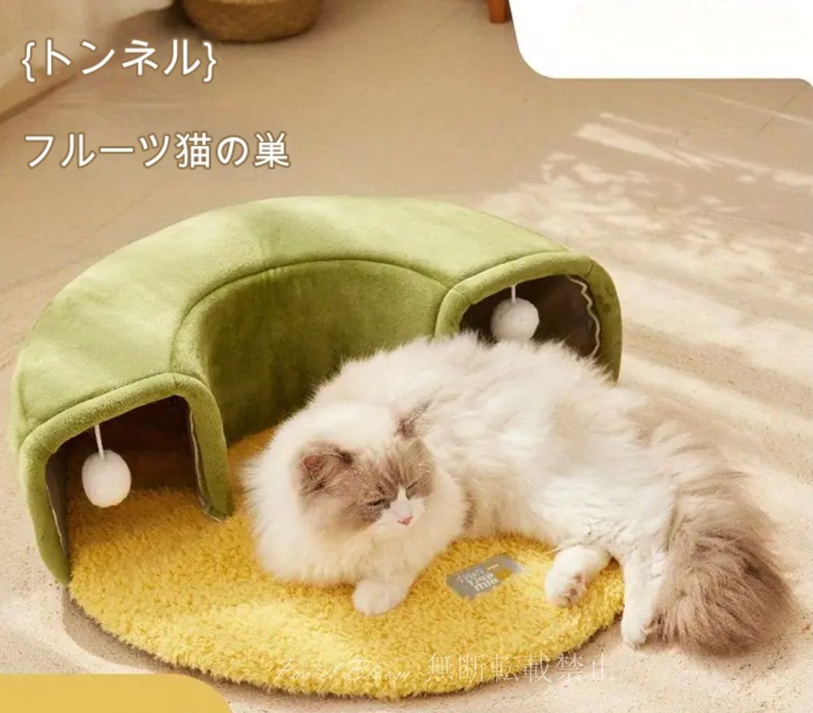 猫の巣 ユニーク