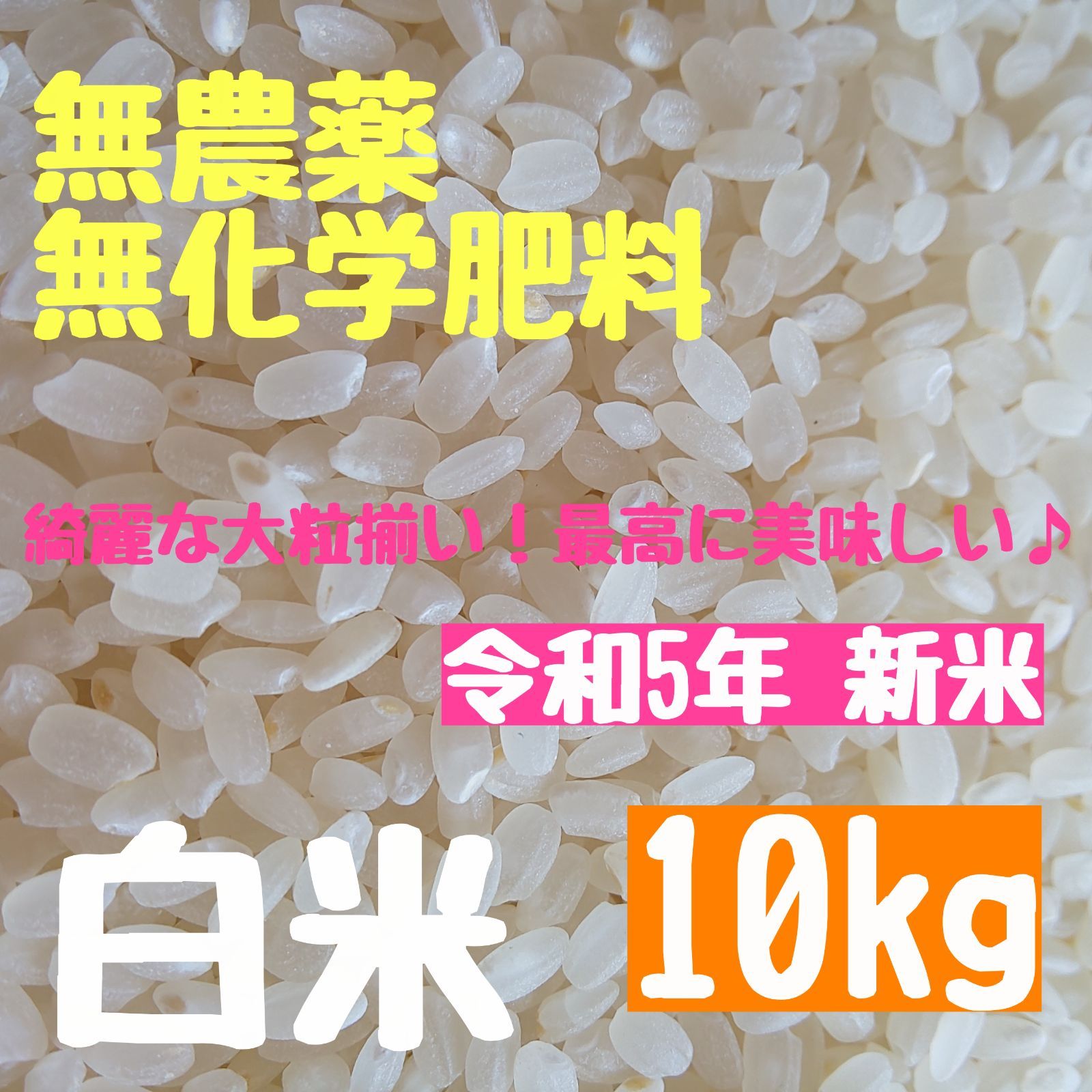 さくらの白米【大粒だけを選別】農薬不使用 化学肥料不使用 除草剤不